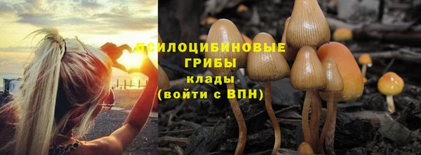 синтетический гашиш Абдулино