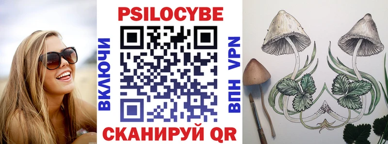 MEGA зеркало  Яранск  Псилоцибиновые грибы Psilocybine cubensis 